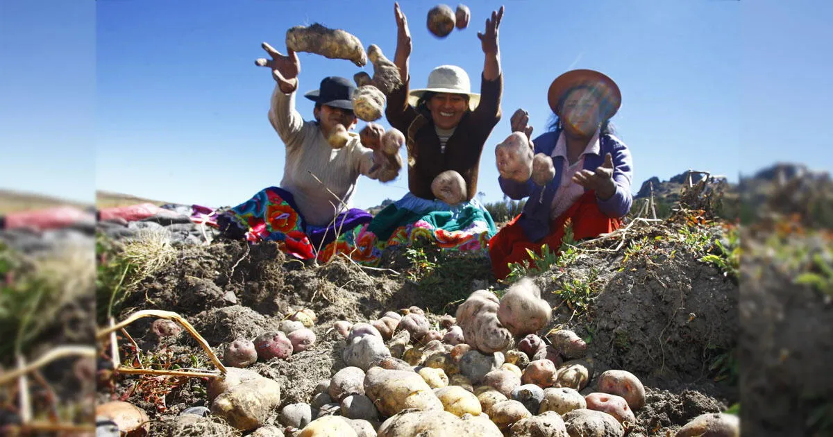 Día del Campesino Sabes cuánta agua se necesita para producir un kilo