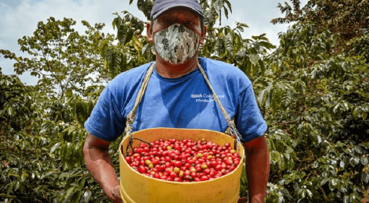 Primera Edici N Lanzan Revista Sobre La Ruta Del Caf Peruano