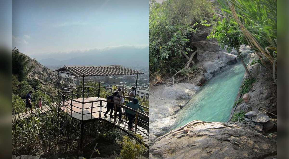 La M Stica Selva Escondida En San Juan De Lurigancho Que Enamora A Los