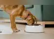 wapa.pe wapa.pe
