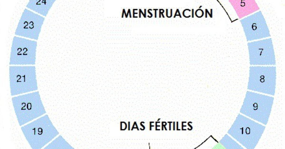 ¿sabe Cómo Identificar Tu Periodo Fértil Del Ciclo Menstrual Nosotras Te Enseñamosemk 7843