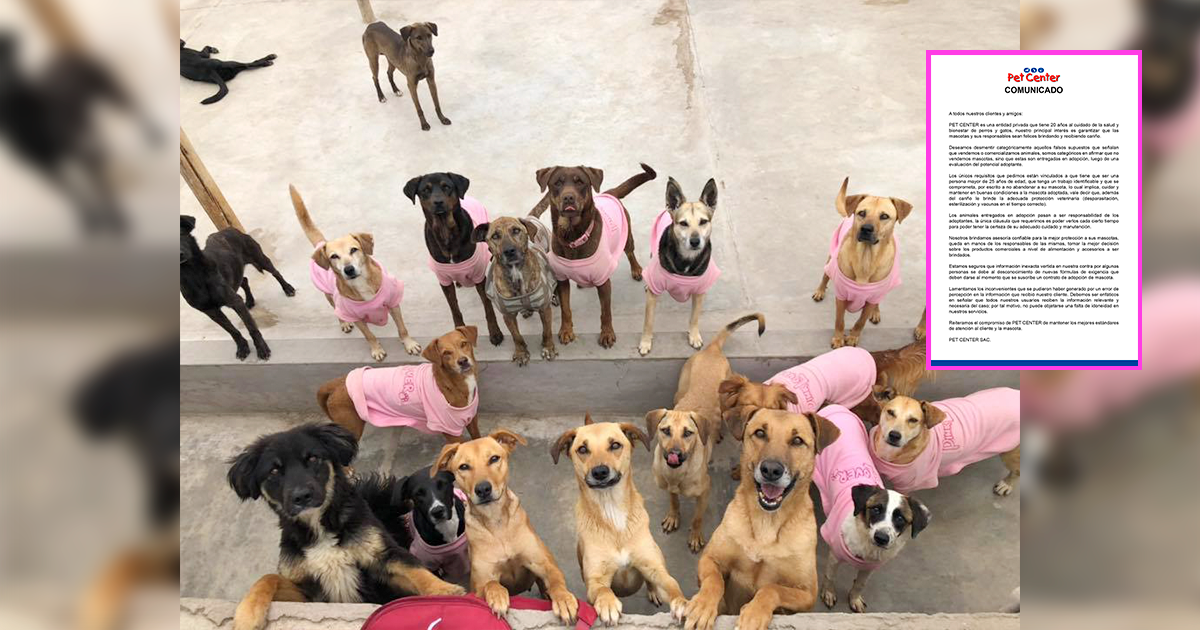 Veterinaria en Jockey Plaza responde ante acusación sobre cobros de adopciones