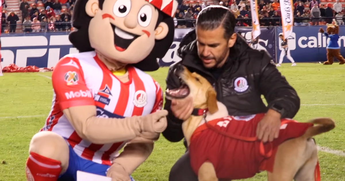 La nueva vida de Tunita, la