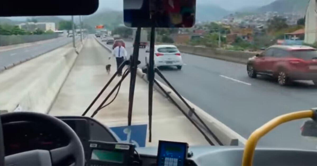 Pasajeros felicitan a chofer de bus que rescató a perro abandonado en ...