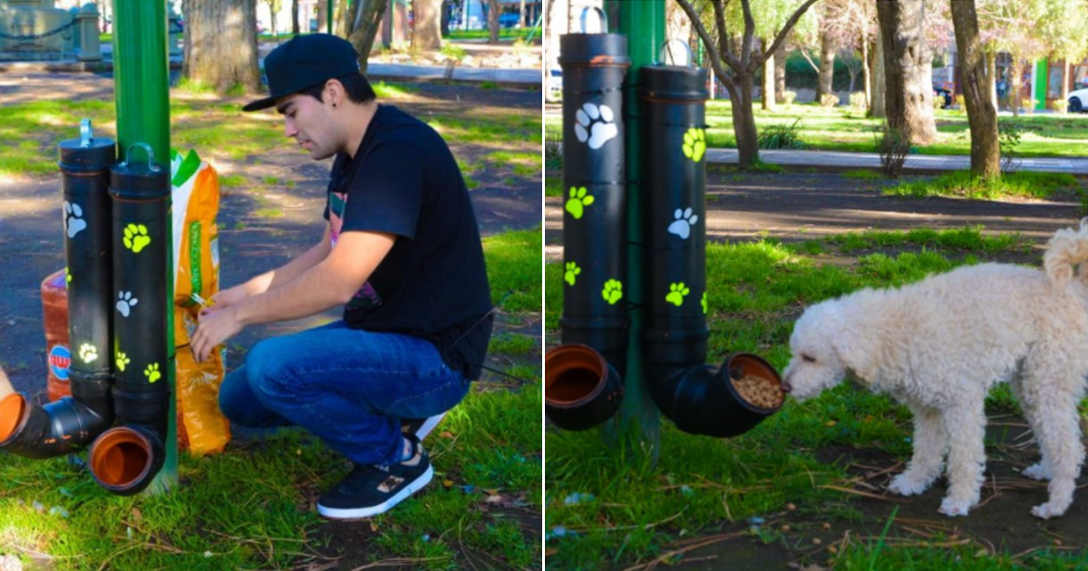 Joven Instal Cuatro Comederos Y Bebederos Para Ayudar A Los Perros