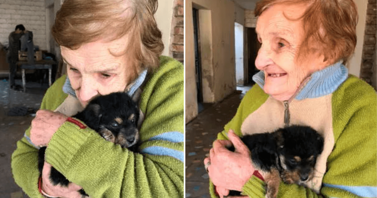 Adulta mayor adopta un perrito y se enamora de él al verlo: "Coquito"