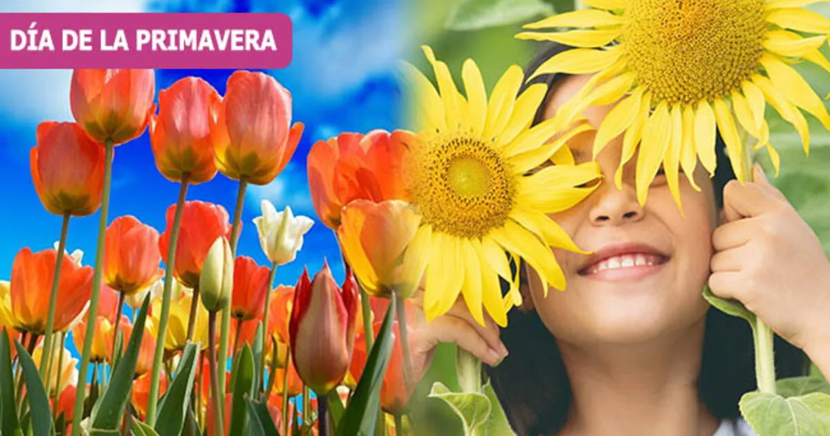 Frases por el Día de la Primavera 25 mensajes bonitos para celebrar