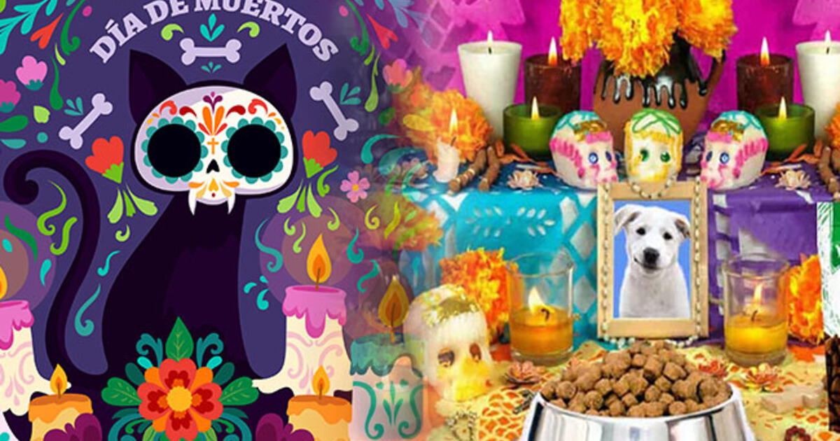 Día De Muertos De Mascotas Cuándo Es Y Cómo Poner El Altar Para Los Perros Y Gatos 9002