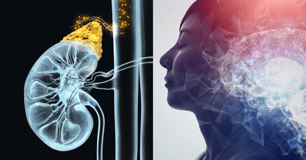 Cómo reducir el estrés y equilibrar el cortisol de manera natural