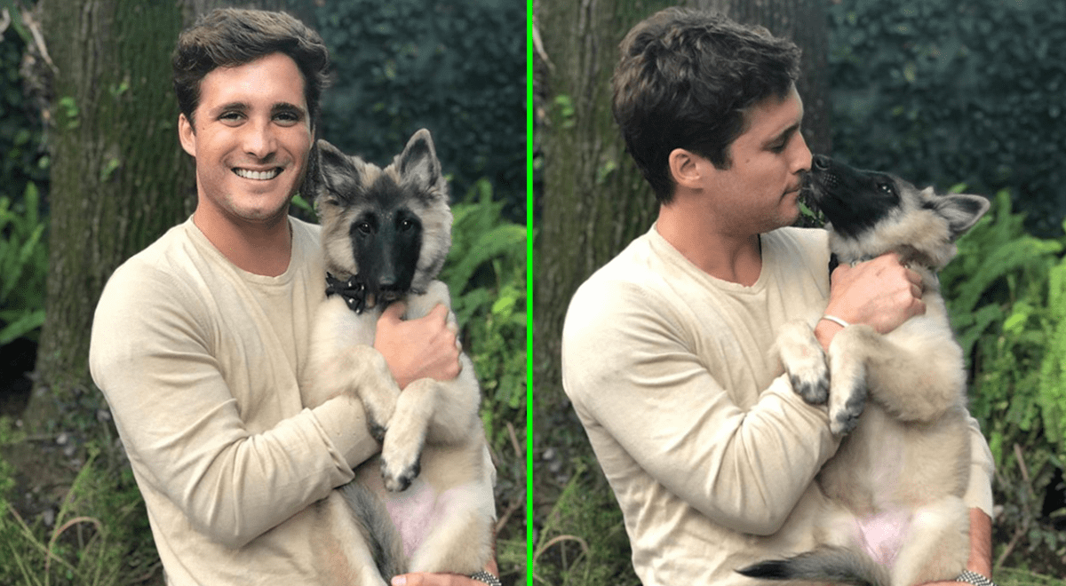 Diego Boneta presenta a su nueva mascota y la bautiza con un peculiar ...