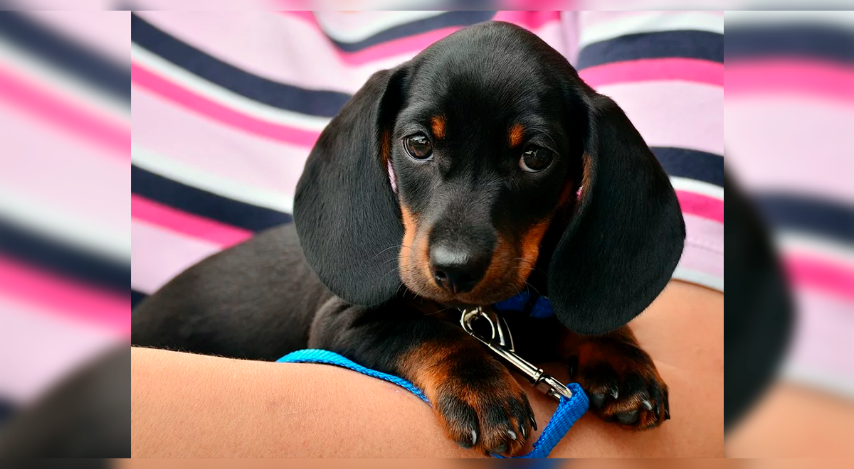 Te enseñamos un listado de nombres