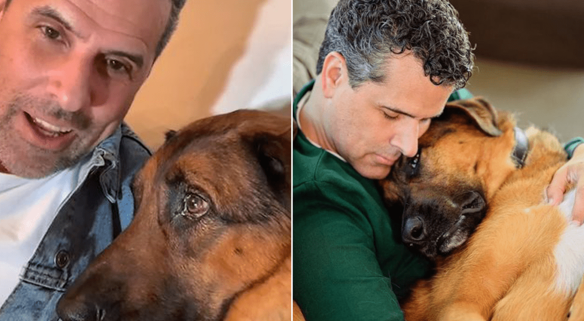 Conductor de TV despidió entre lágrimas a su perro fallecido: \"Fue un angelito que vino\" Conductor de TV despidió entre lágrimas a su perro fallecido: \"Fue un angelito que vino\"