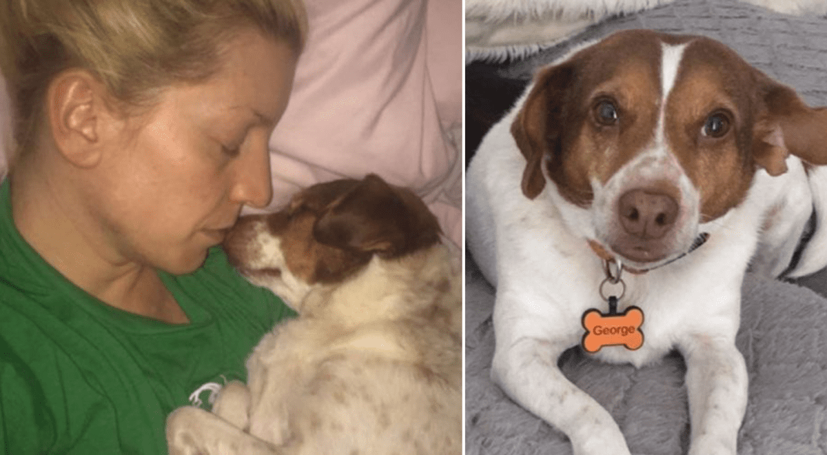 Cachorro no duerme si no es cara a cara sintiendo a su dueña por el trauma que vivió Cachorro no duerme si no es cara a cara sintiendo a su dueña por el trauma que vivió