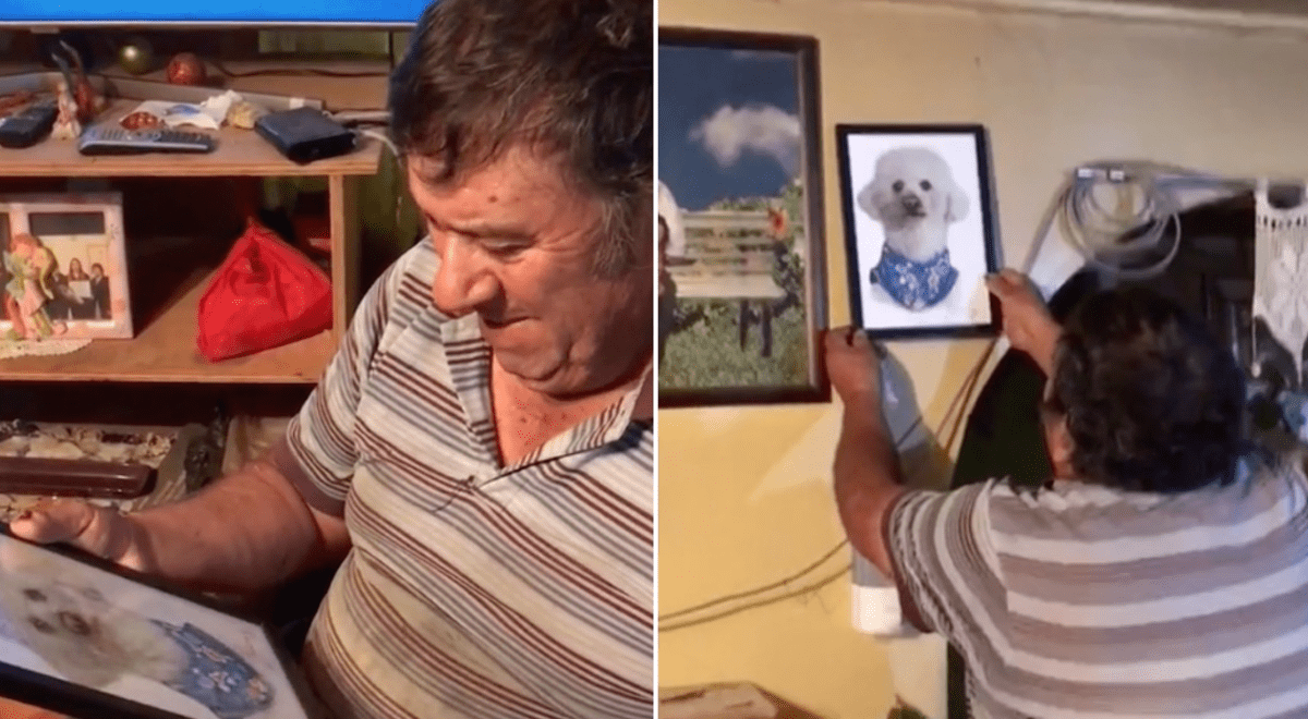 Padre rompió en llanto tras recibir como regalo un cuadro de su perro fallecido Padre rompió en llanto tras recibir como regalo un cuadro de su perro fallecido