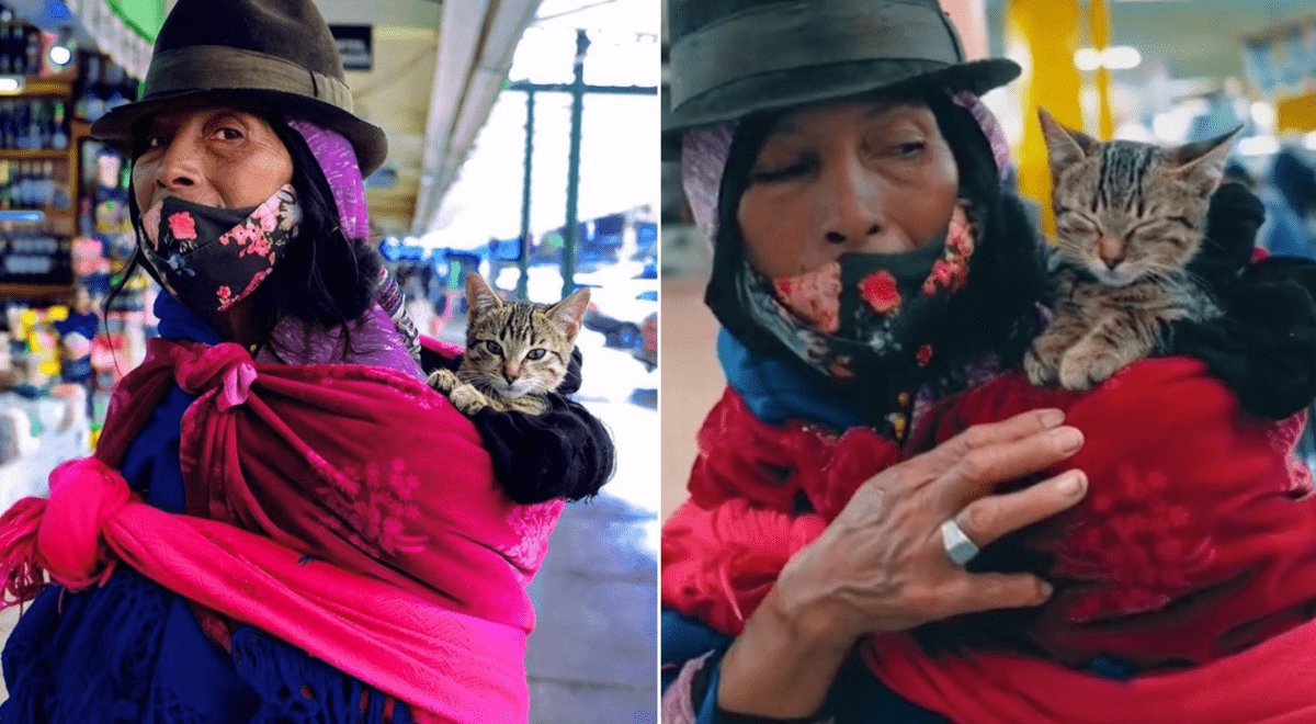 Anciana sale a vender golosinas cargando en su espalda a su gato: \"Es mi único hijo\" Anciana sale a vender golosinas cargando en su espalda a su gato: \"Es mi único hijo\"