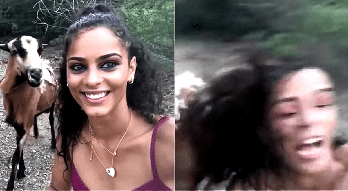 Mujer intentó sacarse una fotografía con una cabra, pero terminó recibiendo un cabezazo Mujer intentó sacarse una fotografía con una cabra, pero terminó recibiendo un cabezazo
