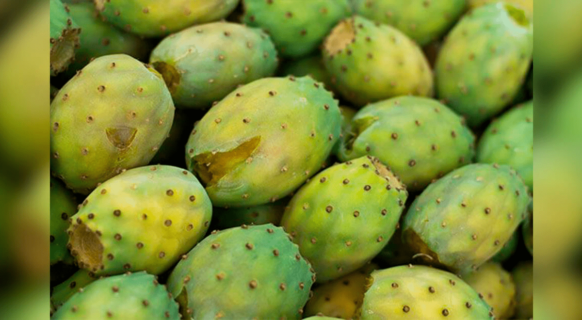 Tuna, el delicioso superalimento para prevenir y combatir los resfríos