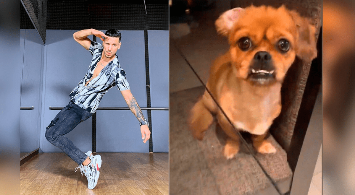 Anthony Aranda Enternece Al Hablar Con Su Perrita Qu Pacha Mi