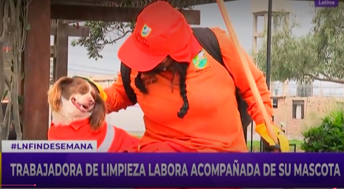 Conoce a 'Chato': trabajadora de limpieza es 'chalaqueado' por su fiel ...