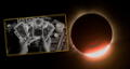 Eclipse solar: ¿Qué signos serán los más afectados y qué es lo que NO debes hacer en esta fecha?