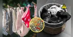 ¡ALERTA! Científicos revelan cuántas bacterias oculta tu ropa interior limpia y cómo eliminarlas hoy mismo