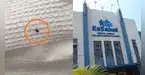 Mujer encuentra una garrapata en la cama de hospital de EsSalud y denuncia grave falta de higiene