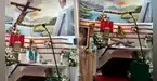 ¡Tragedia en la iglesia! Sacerdote FALLECE tras caerle una cruz durante MISA en vivo y sus ÚLTIMAS palabras dejan helados a todos: "Vamos a morir" ¡Tragedia en la iglesia! Sacerdote FALLECE tras caerle una cruz durante MISA en vivo y sus ÚLTIMAS palabras dejan helados a todos: "Vamos a morir"