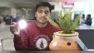 Alinti, la maceta creada por un peruano que produce energía eléctrica