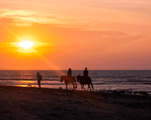 Orgullo nacional: Tres playas peruanas entre las 100 mejores del planeta Orgullo nacional: Tres playas peruanas entre las 100 mejores del planeta