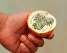 Pocos lo saben: lo que realmente hace la GRANADILLA a tu sistema nervioso y cardiovascular