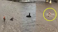 Fuerte caudal del río Rímac arrastra a hombre que intentaba rescatar a perrito: nadie pudo ayudarlo