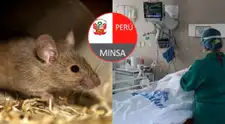 Minsa confirma 3 fallecidos y 841 casos de contagios a nivel nacional por leptospirosis: ¿Cómo reconocer sus síntomas?