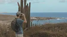 Aruba apuesta por un destino donde la felicidad también es local