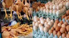 Senasa declara emergencia por gripe aviar: Minsa responde la pregunta que todos se hacen ¿es seguro comer pollo y huevos?