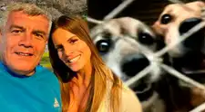 Alejandra Baigorria y su padre son DENUNCIADOS por presunto ABANDONO de albergue de mascotas en Chaclacayo: "Que venga a dar la cara"