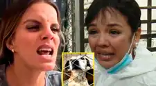 Alejandra Baigorria NO SE QUEDA CALLADA y enfrenta a usuaros tras denuncia por albergue de mascotas en Chaclacayo: “Te estás equivocando”