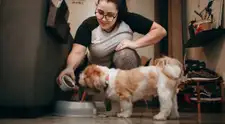 ¡Mi mascota no quiere comer! Expertos explican las causas de la pérdida de apetito en perros y gatos