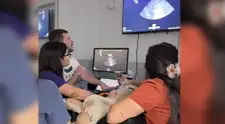 El examen veterinario de 3 minutos que podría salvar la vida de tu mascota