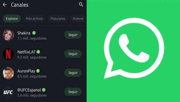 WhatsApp INDIGNA a sus usuarios por cambiar de COLOR: ¿cómo regresar al tono original?