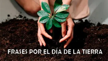 Día de la Tierra: 70 frases para REFLEXIONAR y CONCIENTIZAR sobre el cuidado de nuestro planeta