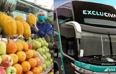 De un HUMILDE comienzo a GIGANTE del transporte: La ASOMBROSA historia de Civa, la empresa que inició vendiendo frutas