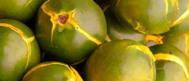 La lúcuma: Una fuente de energía y buen humor La lúcuma: Una fuente de energía y buen humor