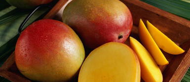La fruta del día rica en vitamina C Mango excelente antioxidante, baja el colesterol y previene el cáncer