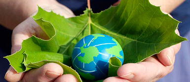 5 de junio: Día Mundial del Medio Ambiente 5 de junio: Día Mundial del Medio Ambiente