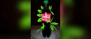 Coca-Cola Company Perú, presenta “Plant Bottle” la botella del futuro Coca-Cola Company Perú, presenta “Plant Bottle” la botella del futuro