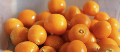 Foto: elpericoceleste Aguaymanto, kiwi y limon, revitaliza y rehidrata