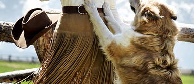 Blake Lively en portada para la revista Vogue Blake Lively en portada para la revista Vogue