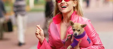 foto: google 21 anécdotas vergonzosas que te pasaron en la universidad