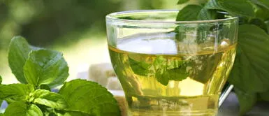 Cinco beneficios de consumir té verde en nuestra rutina diaria Cinco beneficios de consumir té verde en nuestra rutina diaria