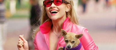 Foto: Google Reese Witherspoon: “Es un buen momento para volver con Legalmente Rubia 3”